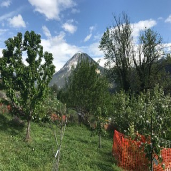 Offres de vente Terrain Bozel 73350