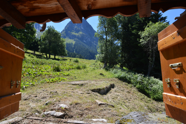 Offres de vente Maisons / Chalets Planay 73350